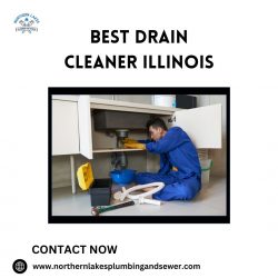 Best Drain Cleaner in Illinois