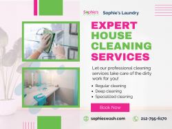 Sophie’s Laundry: Elevating Home Hygiene Standards Across New York City