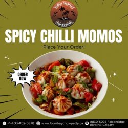 Best Indian Street Food in Calgary NE: Spicy Chilli Momos & More