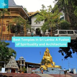 Best Temples in Sri Lanka: A Fusion of Spirituality and Architecture