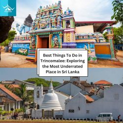 Best Things To Do in Trincomalee: Exploring the Most Underrated Place in Sri Lanka