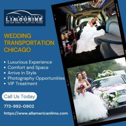 Best Wedding Transportation Service in Chicago