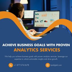 Achieve Business Goals with Analytics Services