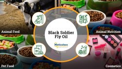 Meticulous Research Unveils Groundbreaking Insights into the Black Soldier Fly Oil Market: Antic ...