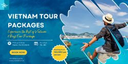 Experience the Best of Vietnam: 8 Days Tour Package