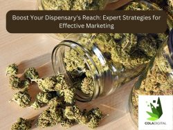 Boost Your Dispensary’s Reach: Expert Strategies for Effective Marketing