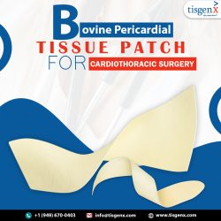 Bovine Pericardial Tissue Patch for Cardiothoracic Repair