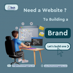 Looking For The Expert Website Developer in Bangalore For Your Startup?