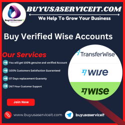 Importance of Verified Wise Accounts