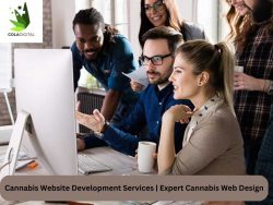 Cannabis Website Development Services | Expert Cannabis Web Design