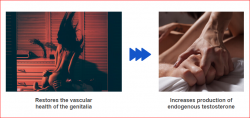 VigorPlex Male Gummies-Longer Sexual Staying!