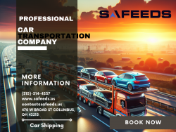 Expert Car Shipping Solutions Tailored for Your Needs: Safeeds Transport Inc