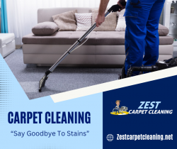 Enjoy Healthier Carpets with Our Experts