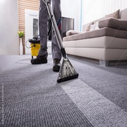 Carpet Cleaners in Darwin
