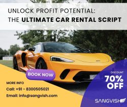 Unlock Profit Potential: The Ultimate Car Rental Script