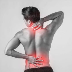 Choose the Right Chiropractor Near Mt Pleasant