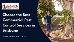 Choose the Best Commercial Pest Control Services in Brisbane