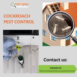 Effective Cockroach Pest Control Solutions for Your Home and Business