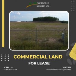 Commercial Land for Lease