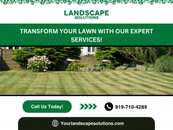 Switch Your Yard into a Masterpiece with Our Experts Today!