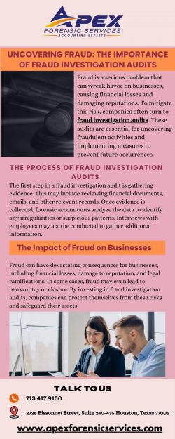 Comprehensive Fraud Investigation Audit Services | Apex Forensic Services