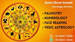 Top Astrologer in Kolkata