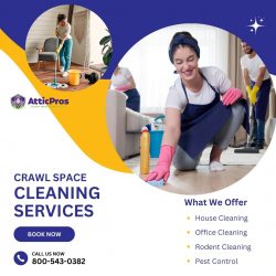 Expert Crawl Space Cleaning Service for a Healthier Home