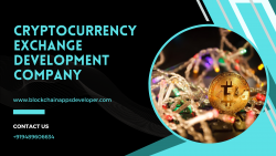 Looking to thrive in the competitive world of Cryptocurrency Exchange Software?