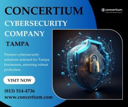 Trusted Cybersecurity Solutions in Tampa