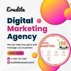 Digital Marketing Agency in Knoxville