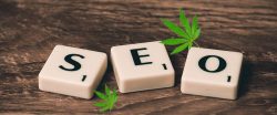 Top Cannabis SEO Agency | Boost Your Cannabis Business Online