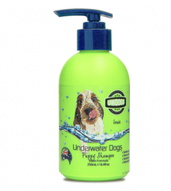 Purchase the best dog shampoo for hypoallergenic dogs