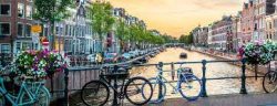 How to Find a Room in Amsterdam