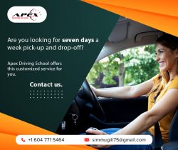 Driving School in Surrey: Customized Services at Apex Driving School