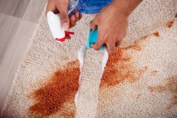 Enhance Your Home’s Appeal: Effective Carpet Cleaning in Melbourne
