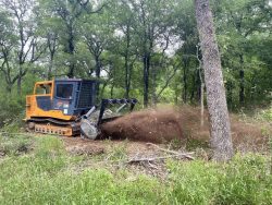 Efficient Forestry Mulching Services for Land Clearing and Maintenance