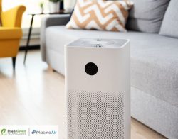 Experience Clean Air with Electronic Air Purifiers