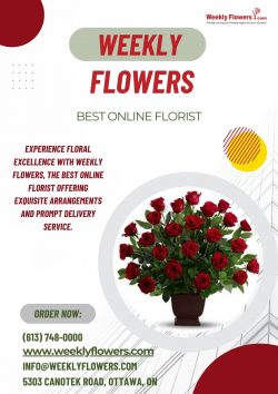 Elevate Every Occasion with Weekly Flowers: The Ultimate Online Florist