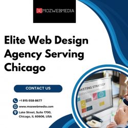 Elite Web Design Agency Serving Chicago