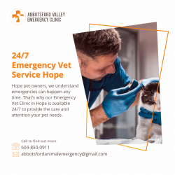 Reliable 24/7 Emergency Vet Service in Hope