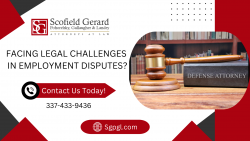 Protect Your Business with Employment Litigation Defense Experts
