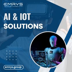 Empowering the Future: AI & IoT Solutions by Emrys