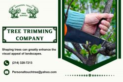 Enhancing Your Home Garden with Tree Trimming
