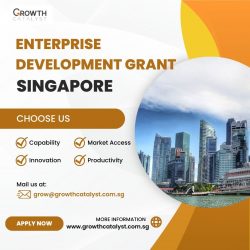 Navigate Business Growth: Enterprise Development Grant in Singapore