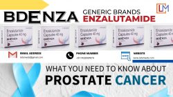 Why Choose LetsMeds Pharmaceuticals for Your Bdenza 40mg Capsules Price Indian Enzalutamide Bran ...