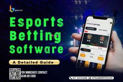 Esports Betting Software Development Esports