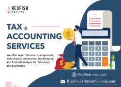 Expert Accounting Strategies