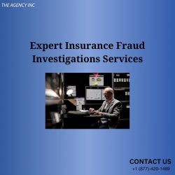 Expert Insurance Fraud Investigations Services