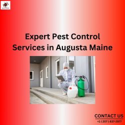 Expert Pest Control Services in Augusta Maine