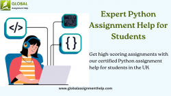 Expert Python Assignment Help for Students